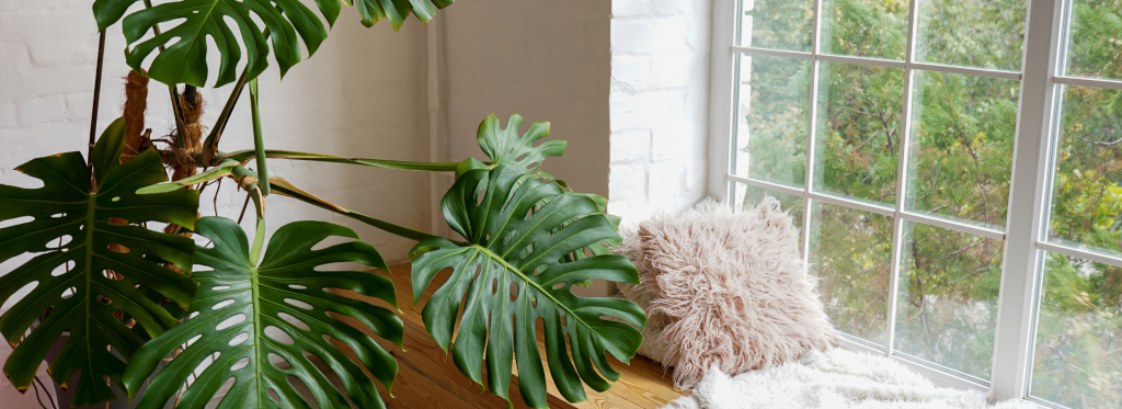 best upvc windows for home